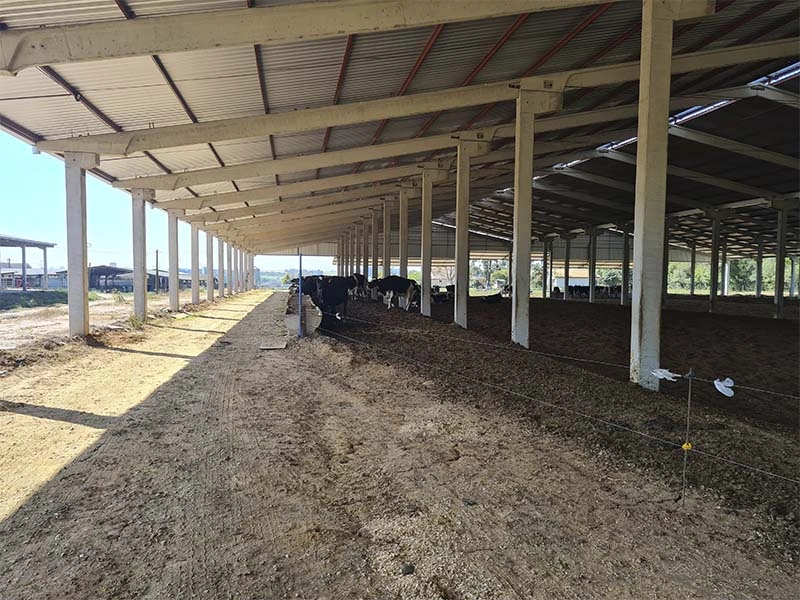 AS Projetos e Pré Moldados